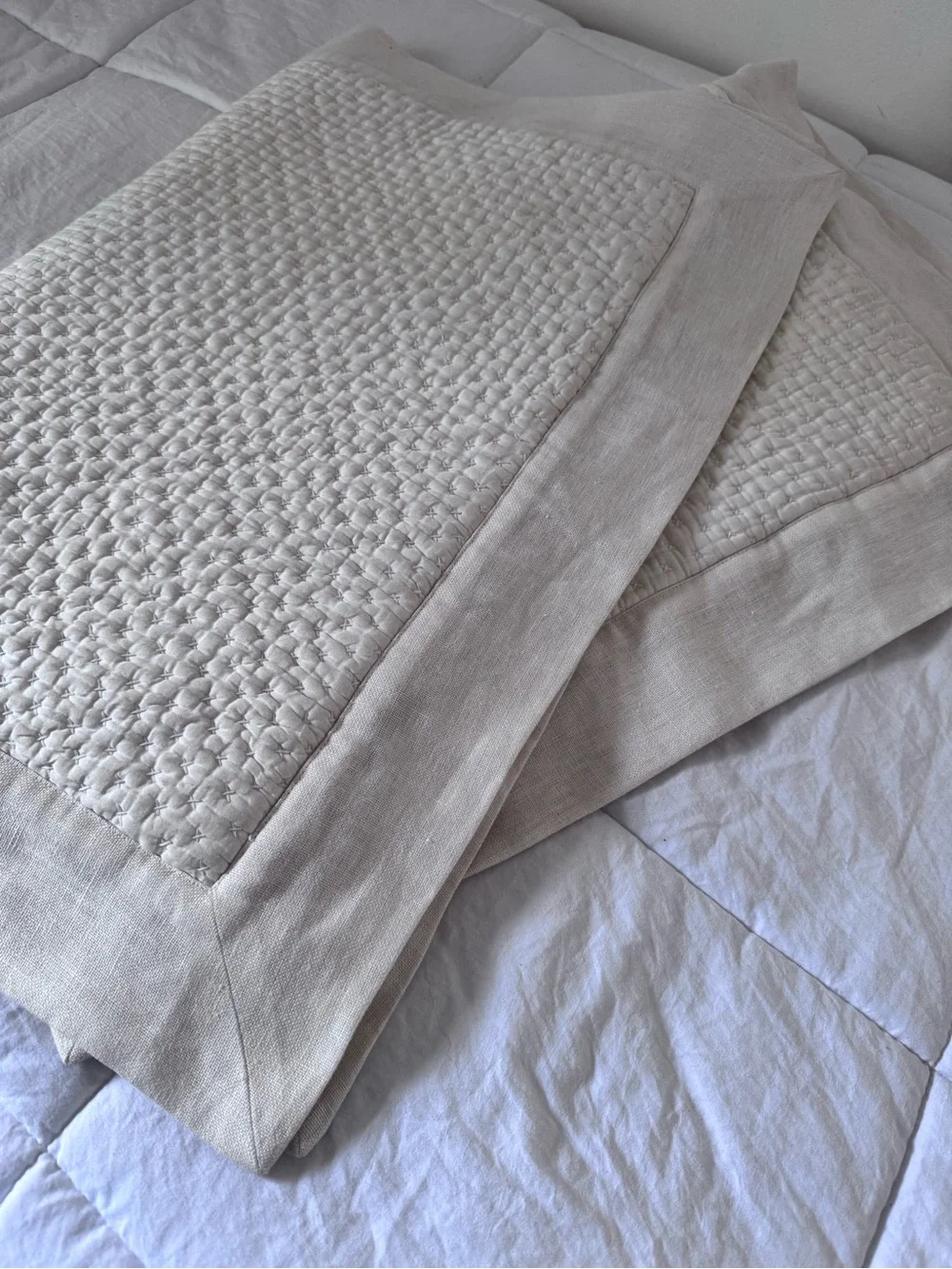 Pottery Barn cotton linen sham SET (2)
